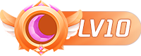 等级-LV10-零壹博客